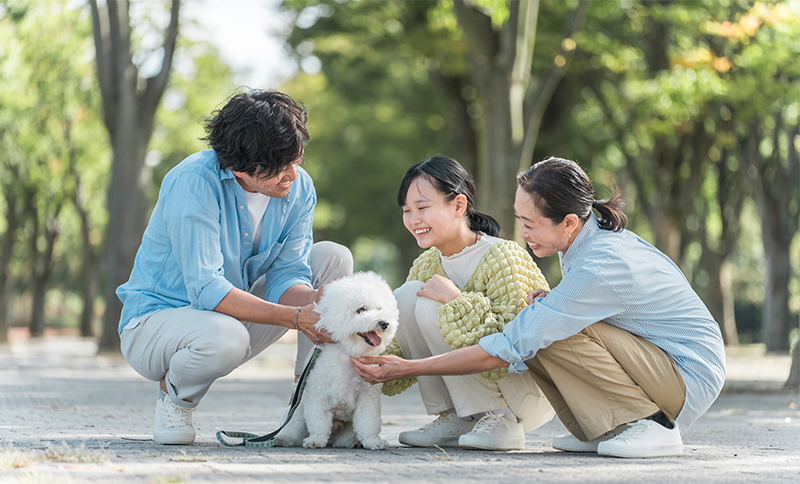 ブリーダーから飼う6つのステップ