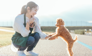 悪質ブリーダーの特徴と優良ブリーダーとの見分け方
