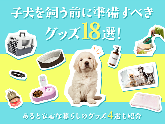 子犬を飼う前に準備すべきグッズ18選!あると安心な暮らしのグッズ4選も 