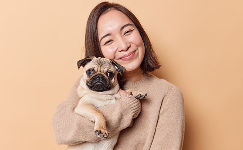 女性に抱っこされるパグ