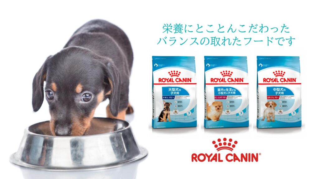 ドッグフードブランドロイヤルカナンのバナー