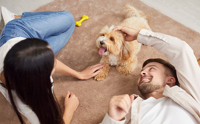 ミックス犬と遊ぶ夫婦