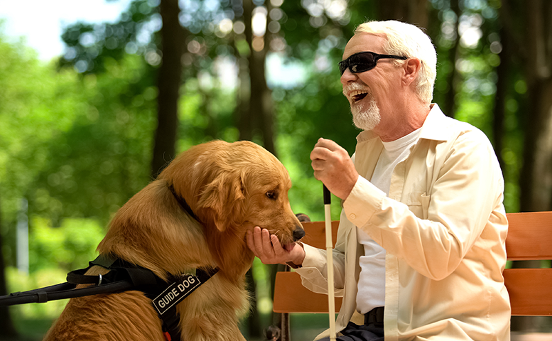 触れ合う盲導犬と盲導犬ユーザー