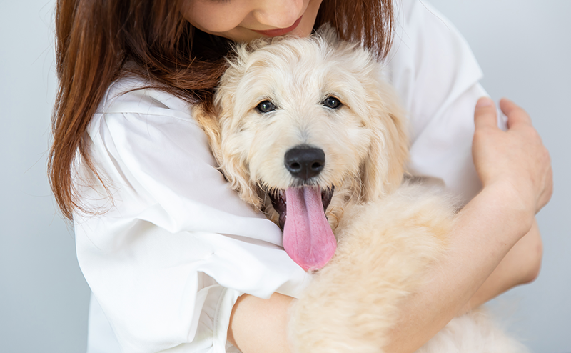 抱きしめられている大型犬