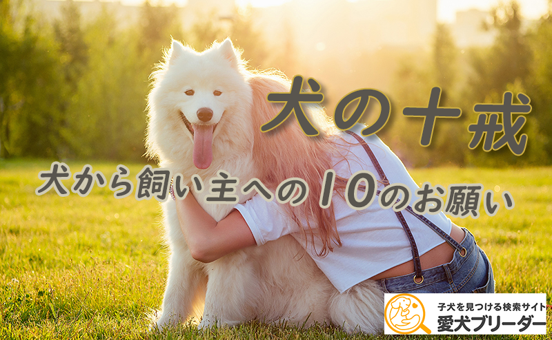 【犬の十戒】英語原文＆日本語訳に解説つき！犬が強い裏バージョンとは？