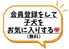 会員登録ページへ遷移する