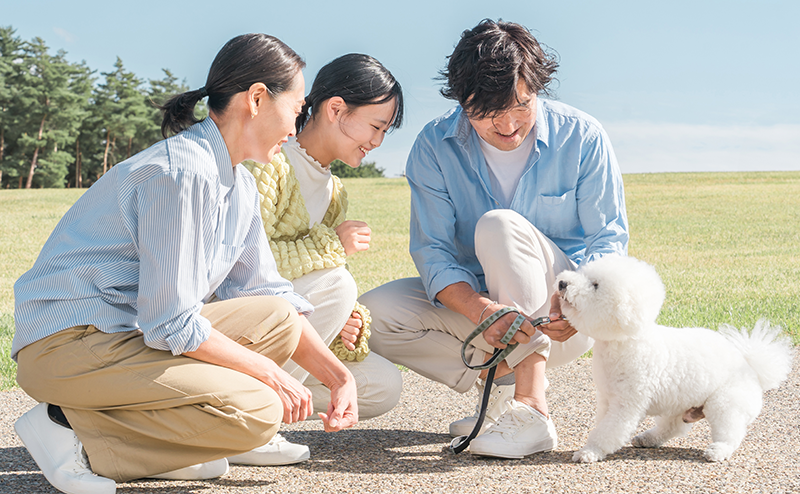 ビションフリーゼのブリーダーと迎える家族