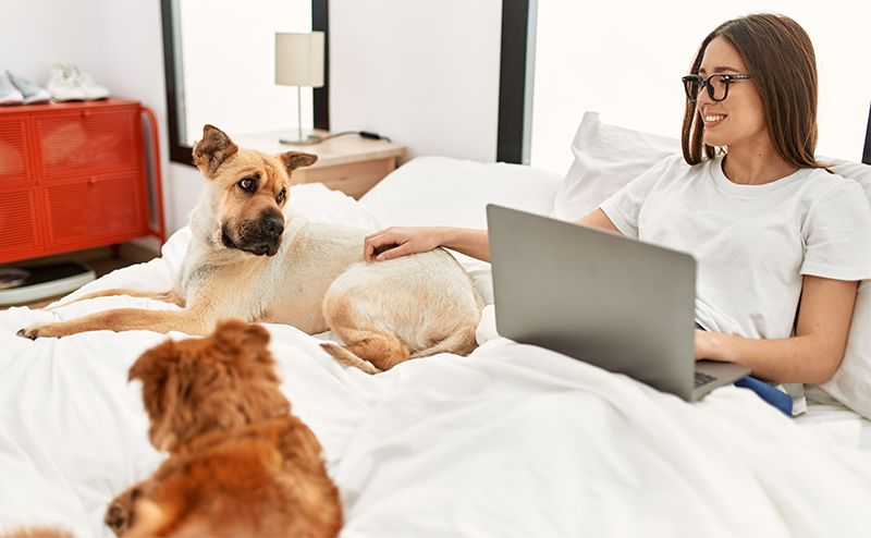 ベッドの上でくつろぐ女性と2頭の犬