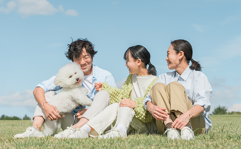 ビションフリーゼとその家族