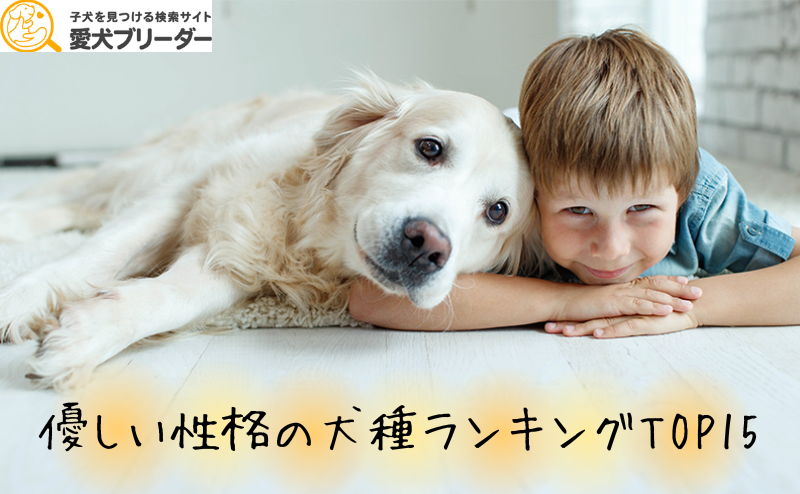優しい性格の犬種ランキングTOP15！温厚で飼いやすい犬種の性格・特徴を解説