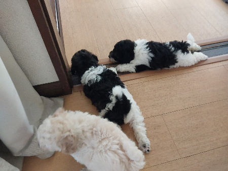 写真