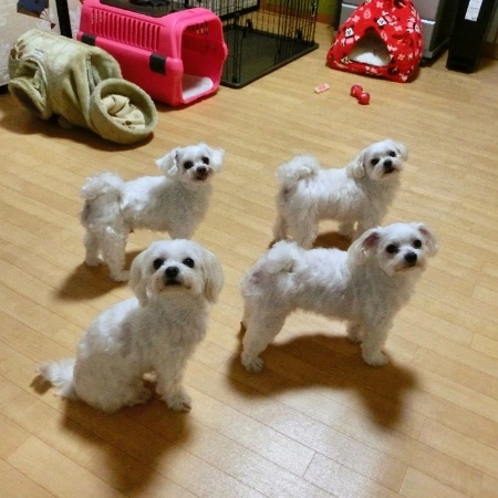写真