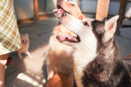 写真