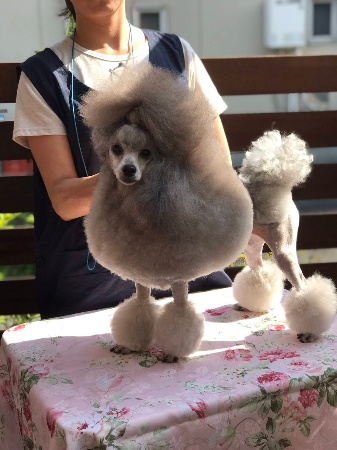 写真