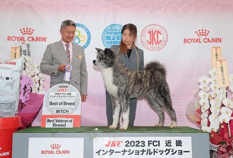 写真